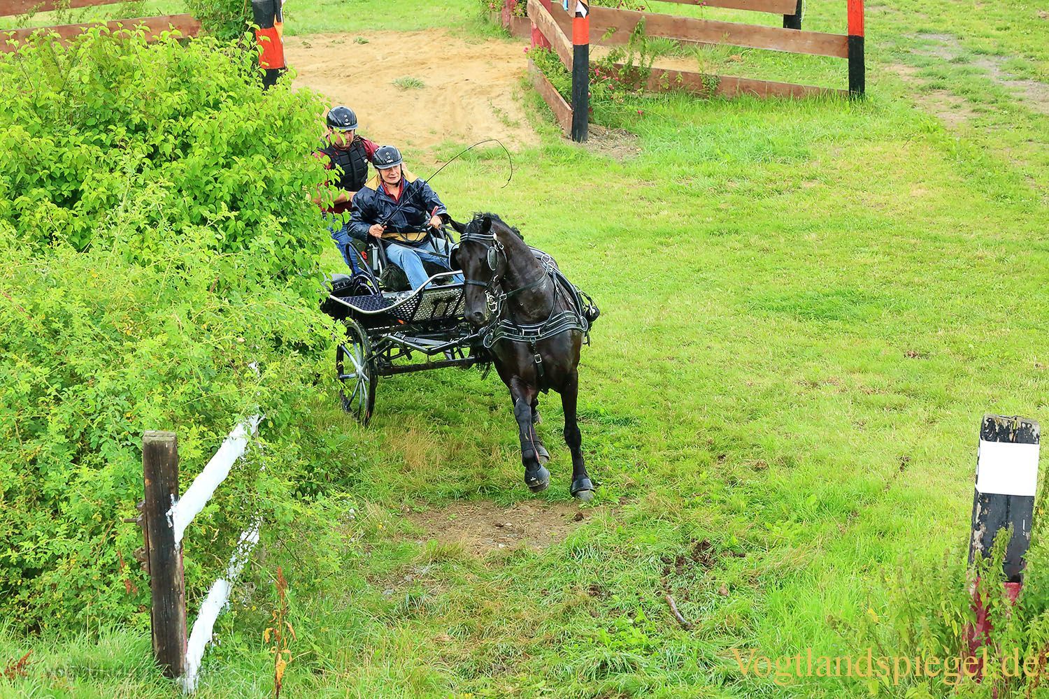 Mohlsdorf: Thüringer Landesmeisterschaft im Vier- und Einspännerfahren