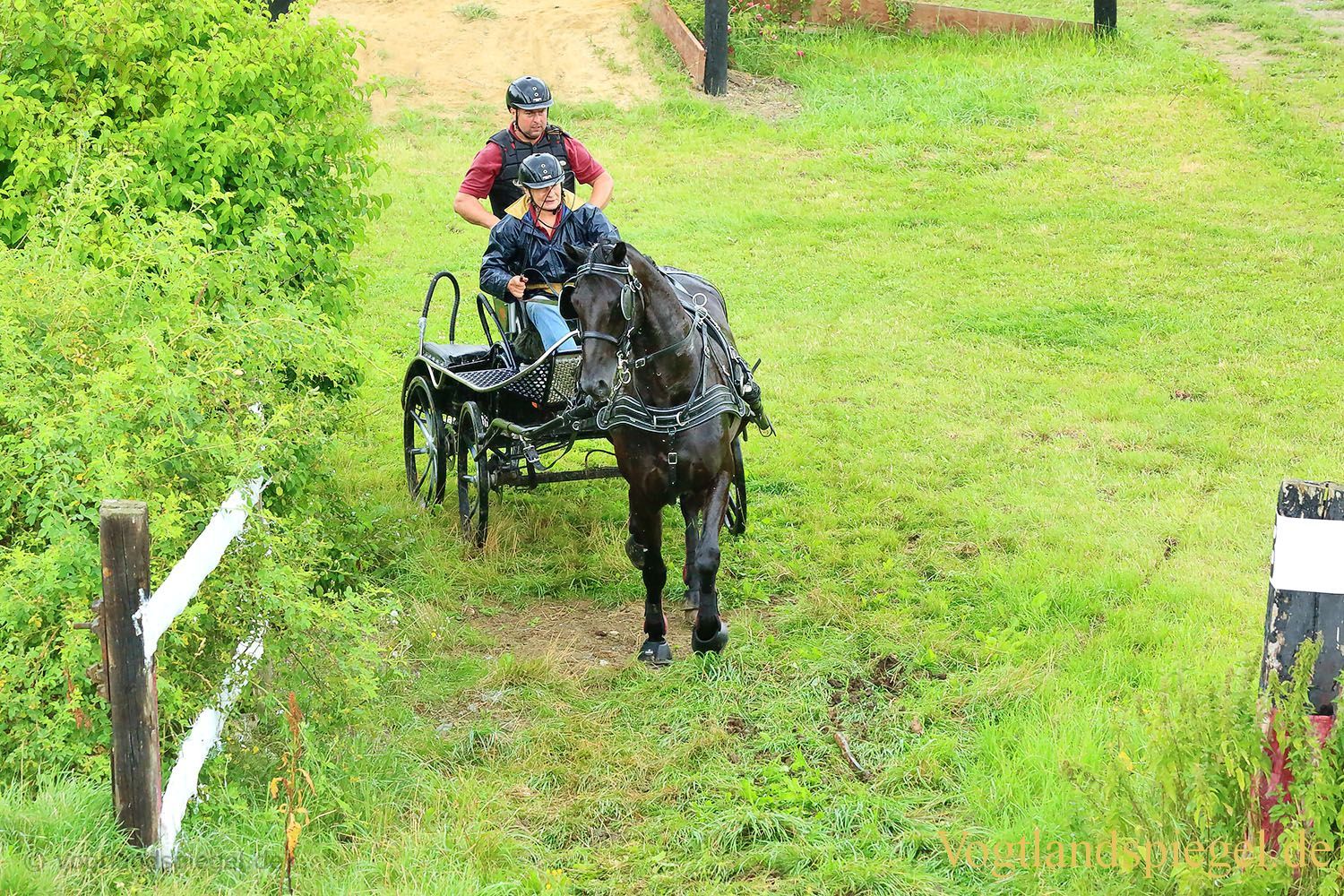 Mohlsdorf: Thüringer Landesmeisterschaft im Vier- und Einspännerfahren