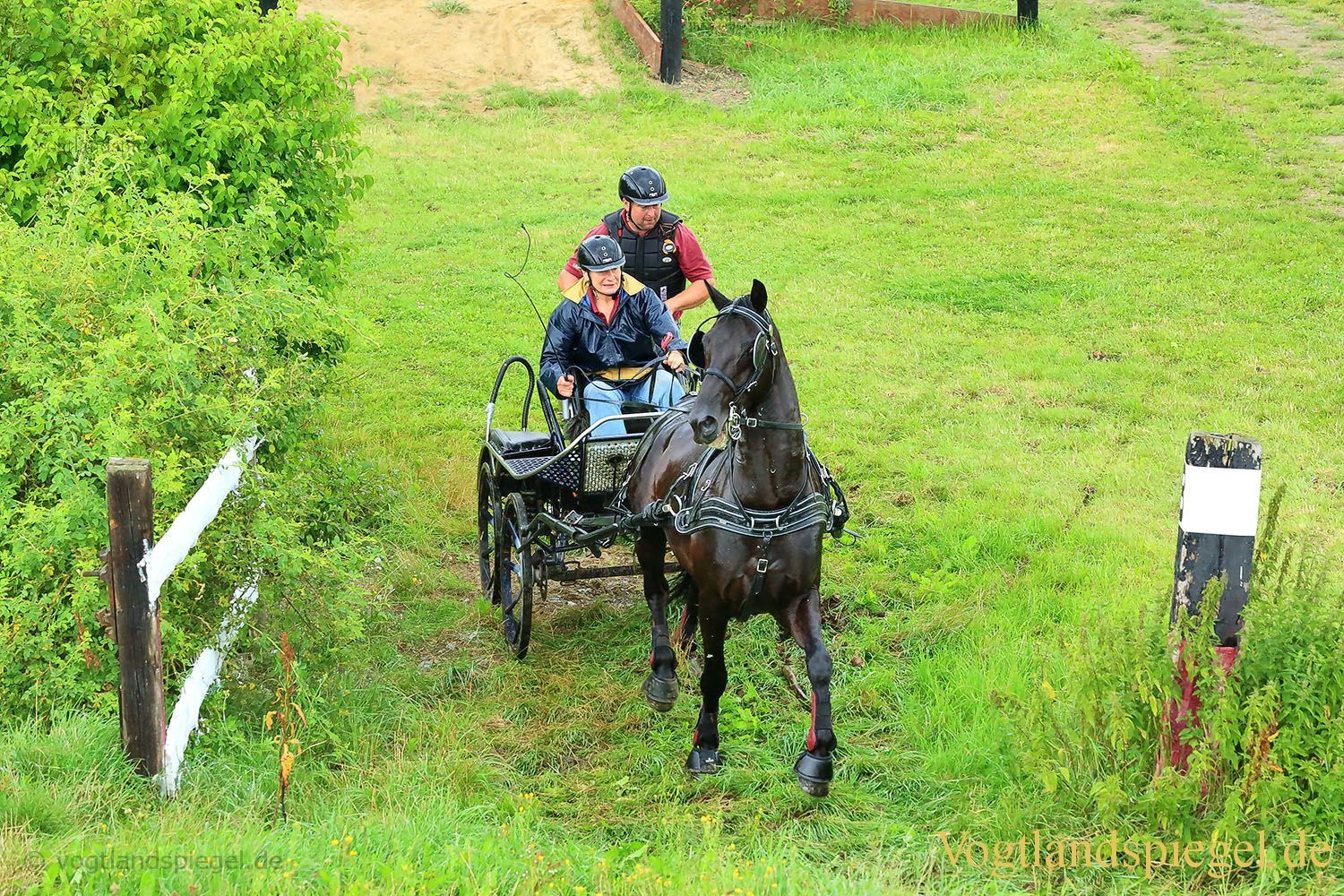 Mohlsdorf: Thüringer Landesmeisterschaft im Vier- und Einspännerfahren