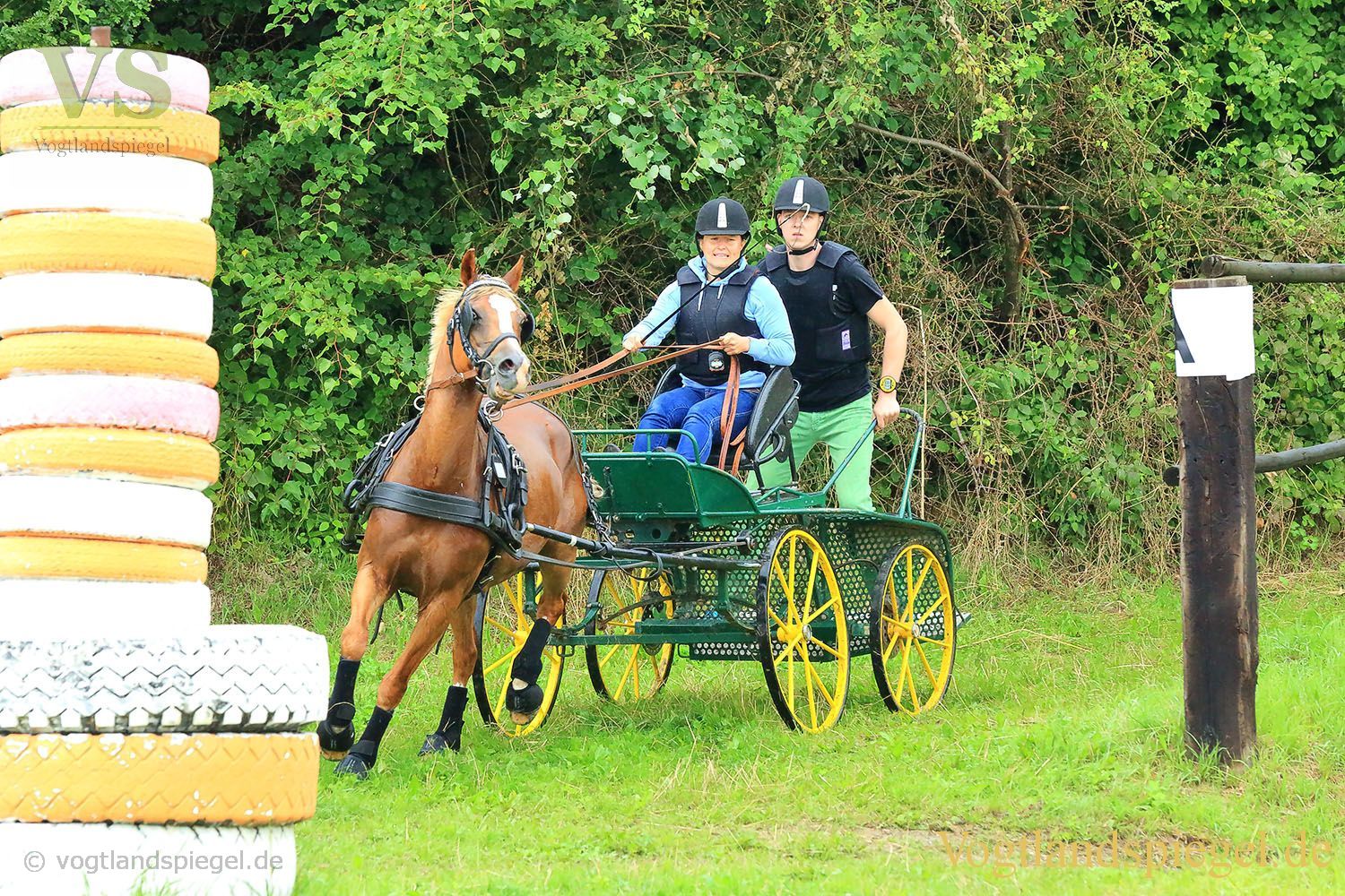Mohlsdorf: Thüringer Landesmeisterschaft im Vier- und Einspännerfahren