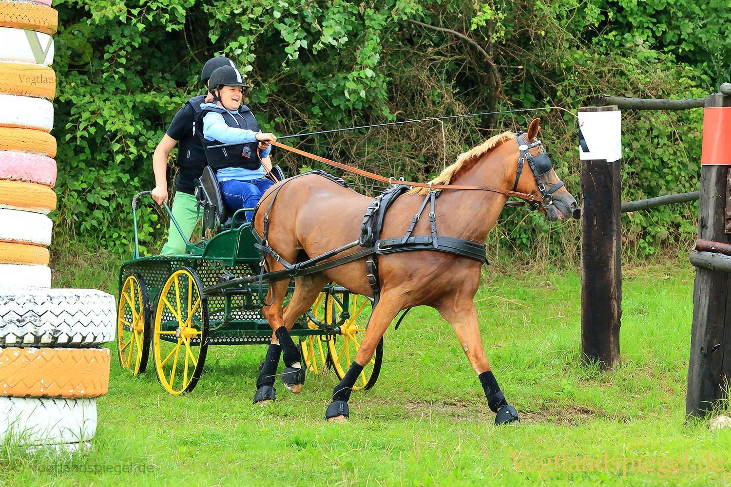 Mohlsdorf: Thüringer Landesmeisterschaft im Vier- und Einspännerfahren