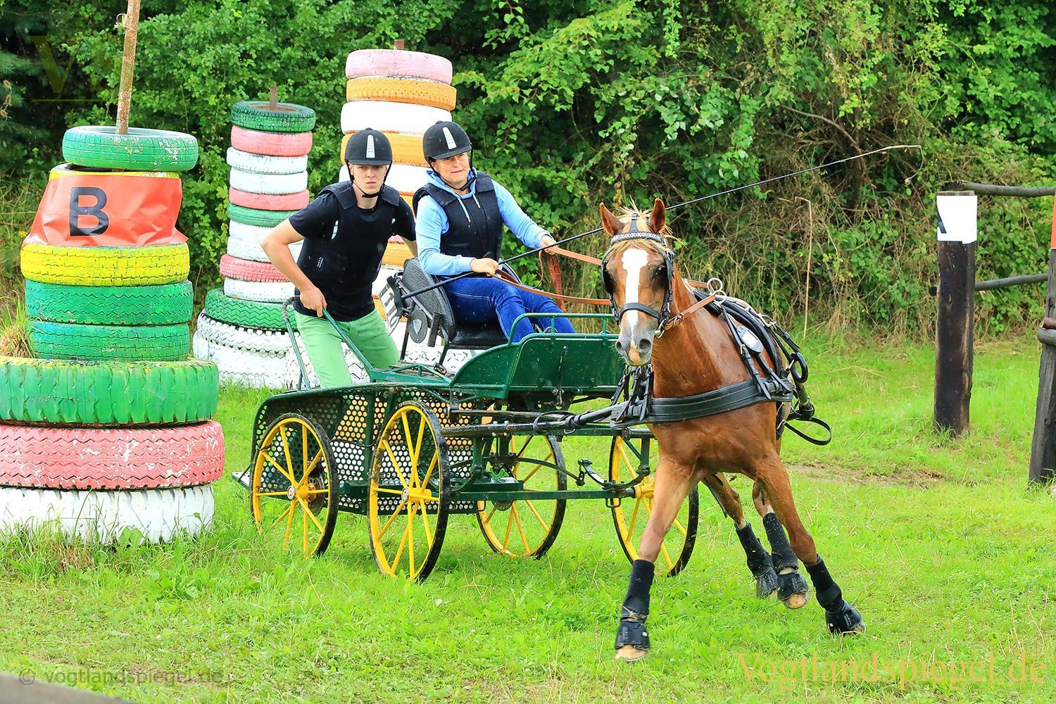 Mohlsdorf: Thüringer Landesmeisterschaft im Vier- und Einspännerfahren